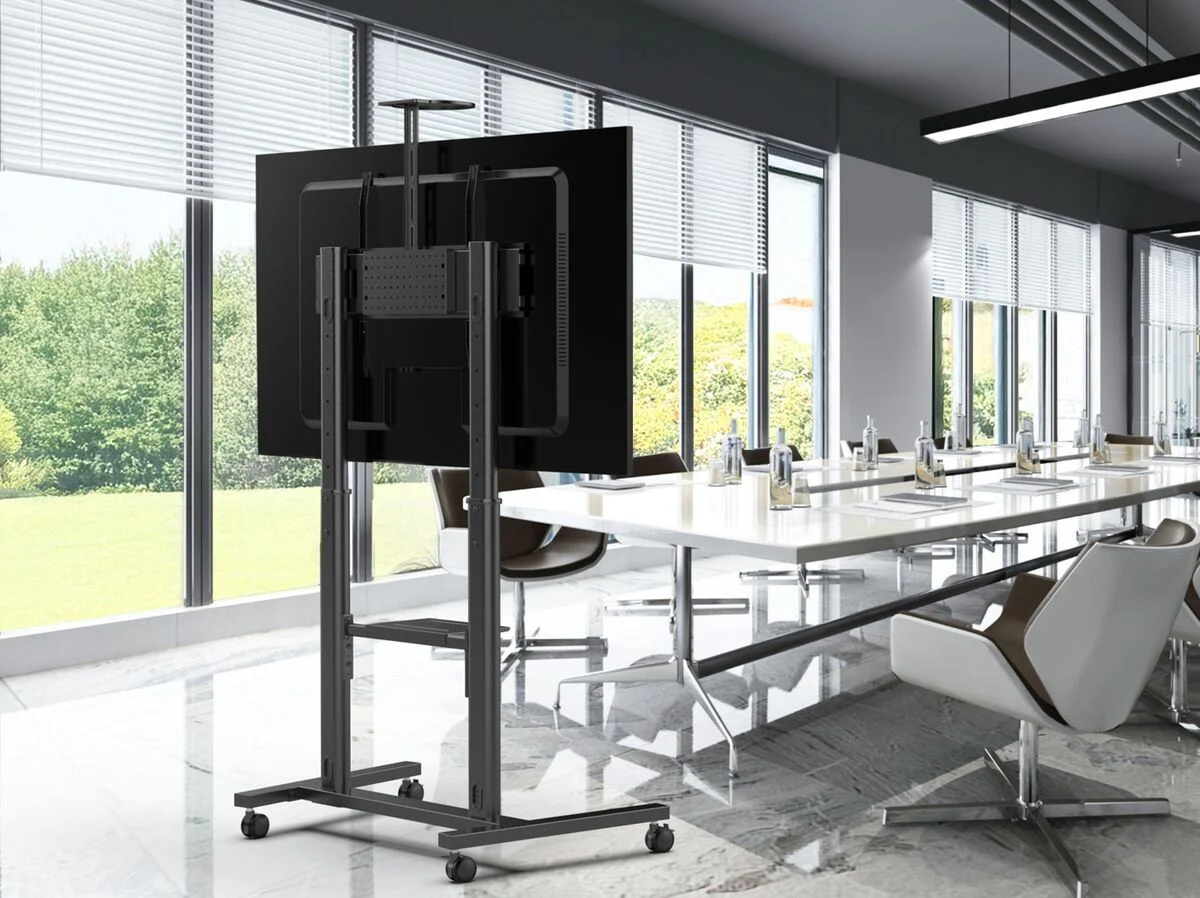 Product image 4 for EssentialT1041B